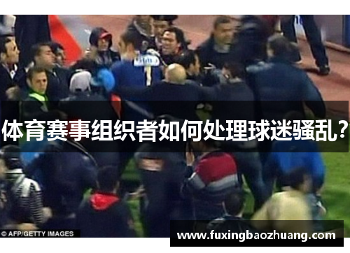 体育赛事组织者如何处理球迷骚乱？