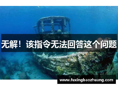 无解！该指令无法回答这个问题