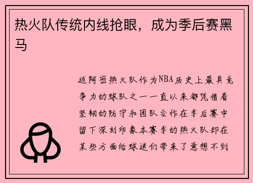 热火队传统内线抢眼，成为季后赛黑马